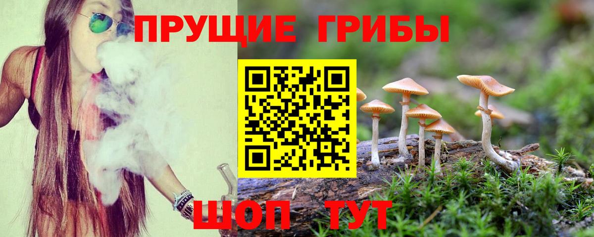 Галлюциногенные грибы ЛСД  Вход с VPN  Псилоцибиновые грибы Cubensis  Тверь 
